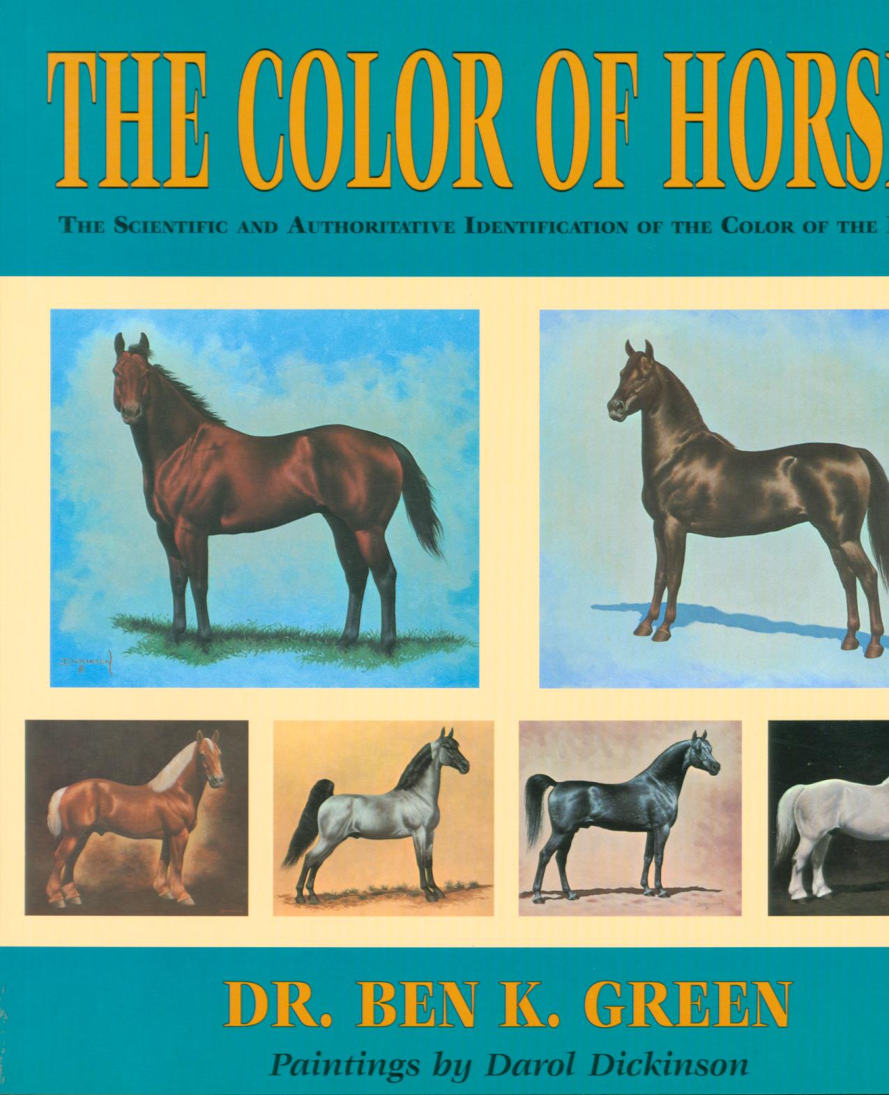 THE COLOR OF HORSES.